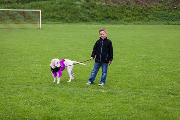 Bild 44 - D-Juniorinnen TuS Tensfeld - FSC Kaltenkirchen : Ergebnis: 1:0